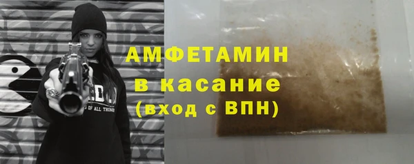 прущие грибы Бородино