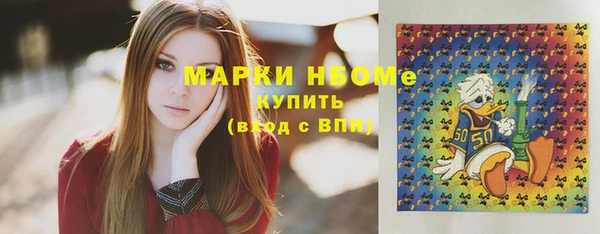 прущие грибы Бородино