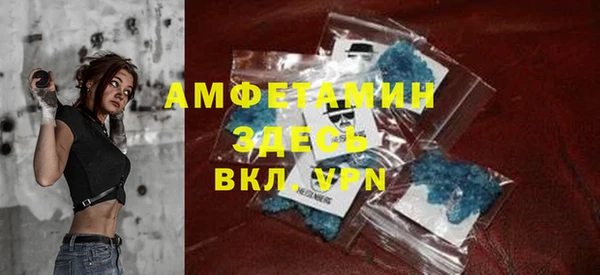 прущие грибы Бородино
